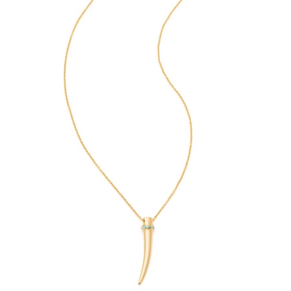 Gold Horn Pendant Necklace